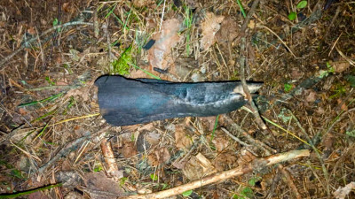 В Ленобласти мальчик погиб от взрыва мины времён войны