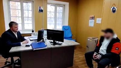 Мужчине, расчленившему гостя в Мурино, грозит до 15 лет