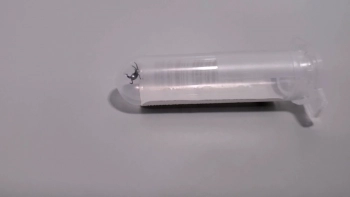 Аномально активные клещи: депутат Хамитов объяснил, почему важно вакцинироваться от энцефалита