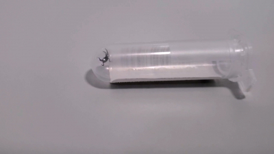 Аномально активные клещи: депутат Хамитов объяснил, почему важно вакцинироваться от энцефалита