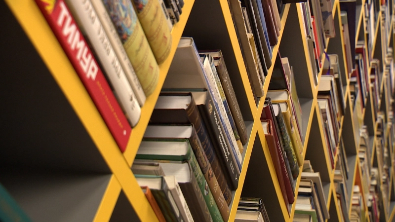 Минпросвещения опубликовало список патриотических произведений для школьников - tvspb.ru