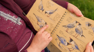 Мелки, краски и бинокль. Как Татьяна Петрова, художник-орнитолог, объединила любовь к природе и искусству