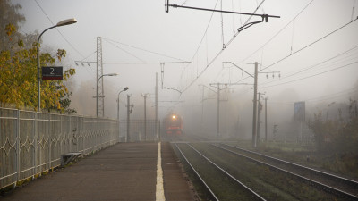 Грузовой поезд сбил женщину на станции Луга