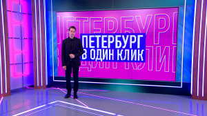 Петербург в один клик: город воздушных шаров, нашествие осо-пауков, подарок капибарам и драма на одно крыло — о чём рассказывали петербуржцы в соцсетях