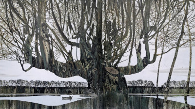 В ЦПКиО им. С. М. Кирова откроется выставка «Двоичность бытия: материя и дух»