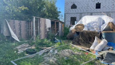 25 коров и 45 свиней: в Горелово выявили нелегальную ферму