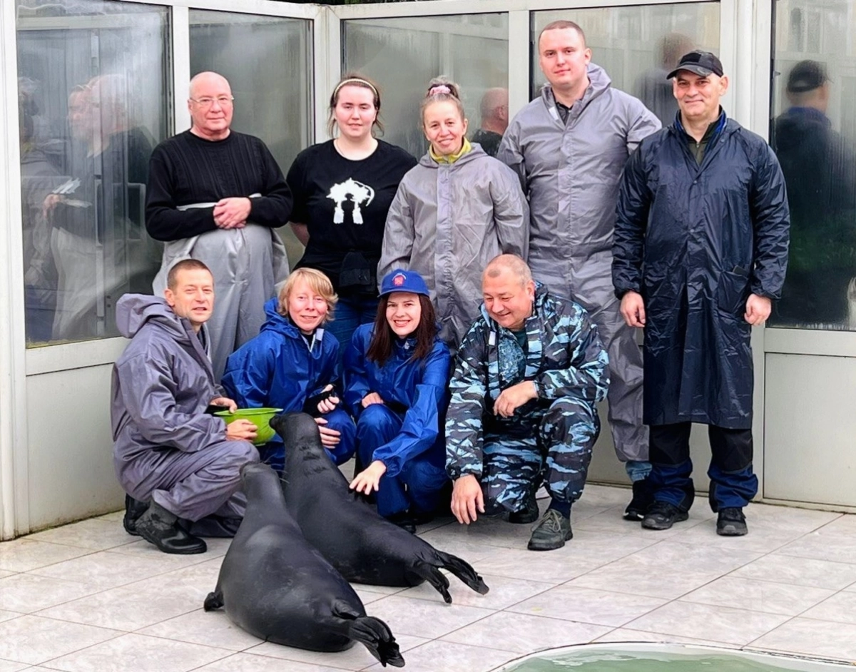 Как прошел субботник в доме самых известных нерп города - tvspb.ru