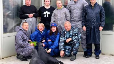 Как прошел субботник в доме самых известных нерп города