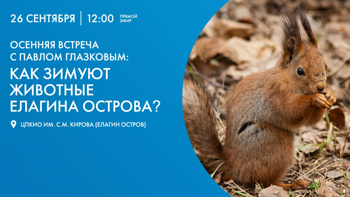 Экскурсия Павла Глазкова по Елагину острову. Онлайн-трансляция - tvspb.ru