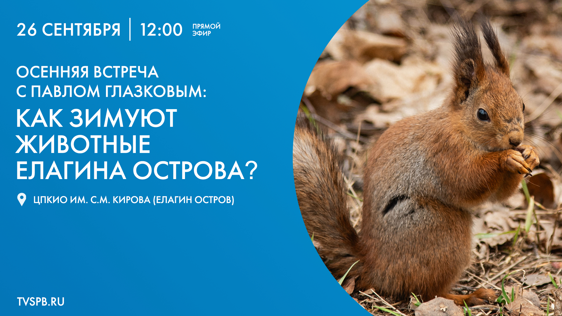 Осенняя встреча с Павлом Глазковым: как зимуют животные Елагина острова?