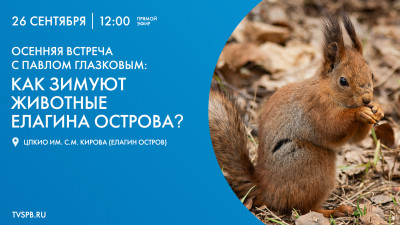 Осенняя встреча с Павлом Глазковым: как зимуют животные Елагина острова?