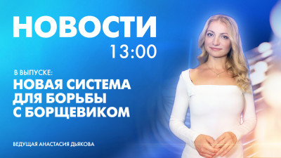 Новости Петербурга к 13:00