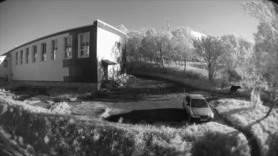 В Камчатском крае 84-летняя женщина погибла после встречи с медведем на территории школы