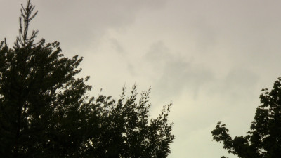 Петербуржцев ждут 10 дождливых дней