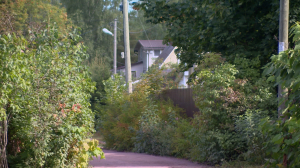 Благоустройство СНТ «Смольнинское» при поддержке города