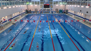 Спортивная школа олимпийского резерва Приморского района