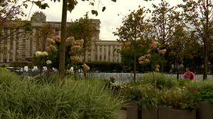 Сад-трансформер на Московской площади