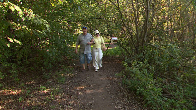 В заказнике «Новоорловский» начались работы по созданию нового экомаршрута