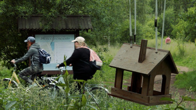 Александр Беглов: В заказнике «Новоорловский» стартовали работы по созданию нового экологического маршрута, завершить проект планируется осенью