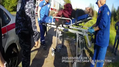 В Павловске росгвардейцы спасли пенсионерку, которая провела два дня в лесу без еды и воды