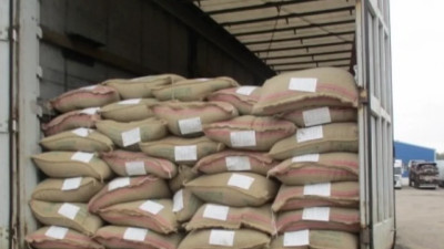 Сто тонн бразильского кофе не пустили в Петербург из-за опасной мухи