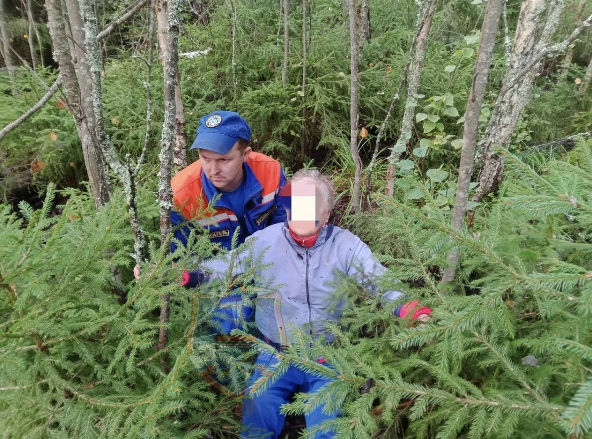 Женщина заблудилась и провела ночь в лесу Приозерского района - tvspb.ru