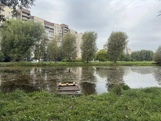 Александр Беглов дал поручение благоустроить Карпатский сквер во Фрунзенском районе - tvspb.ru