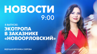 Новости Петербурга к 9:00