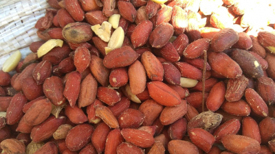 24,9 тонн очищенного арахиса из Аргентины не пустили в Петербург из-за мухи-горбатки