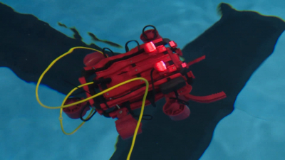 Открытое первенство Санкт-Петербурга по морской робототехнике стартует в Северной столице