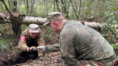 Сохраняя память: в Колпинском районе идёт масштабная поисковая экспедиция «Ленинградский фронт»