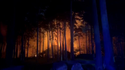 «Для зоопарка гибель каждого животного — это огромная утрата»: что известно о пожаре в Новосибирском зоопарке