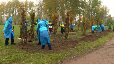 В Петербурге 1 октября стартует осенний месячник благоустройства