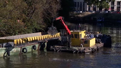 Покрышки и тележки из супермаркета: как в Петербурге расчищают Черную речку и реку Новую