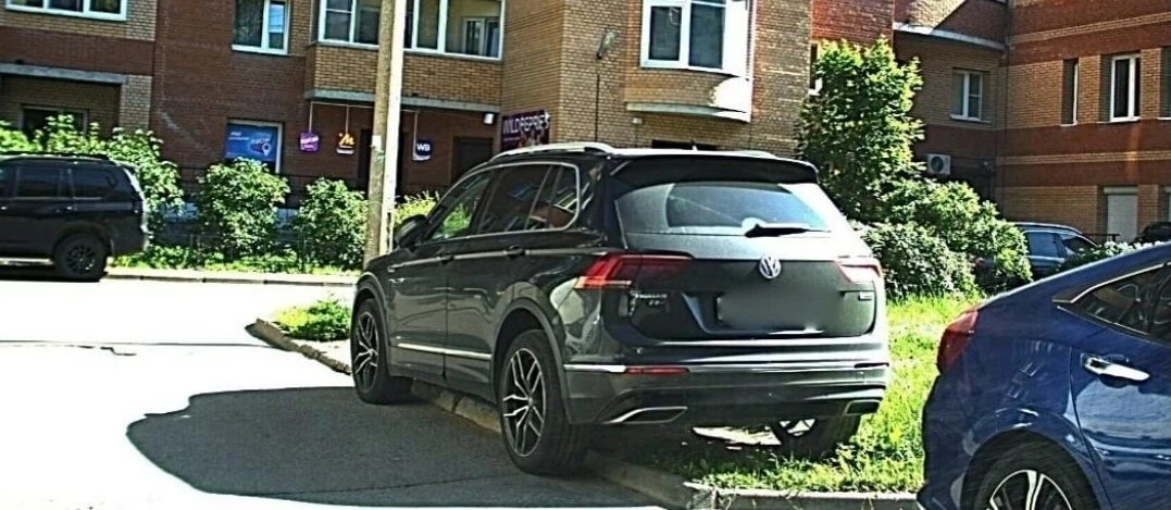 В Петербурге выбрали «автохама июля»: им стал водитель, который припарковался на газоне - tvspb.ru