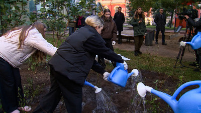 В сквере на улице Восстания высадили 30 кустов чубушника: за год в городе появится 93 тысячи кустарников