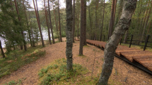 Экологический маршрут «Озерная тропа»