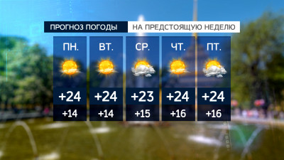 В Петербурге с 8 сентября всю неделю будет солнечно, днем — около +24