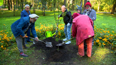 На Елагином острове посадили дерево в память о Сергее Параджанове