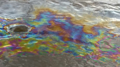 В Отрадном в Неву попали нефтепродукты