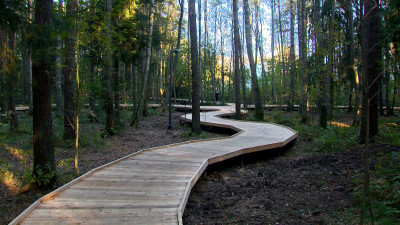 В Петродворцовом районе открыли сразу несколько благоустроенных пространств