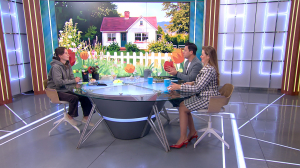 Посев под зиму. Что посадить на даче осенью, чтобы весной не тратить время на рассаду?