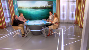 200 стоянок — 200 мешков мусора. Экологическая обстановка на реках и озёрах Ленинградской области