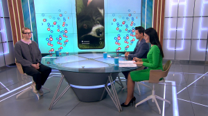 Можно ли получить негатив от позитива? Изучим хоупскроллинг: намеренное пролистывание ленты в поисках положительного контента