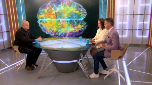 Регуляция кальция в клетках мозга: петербургские исследователи предложили новую стратегию борьбы с болезнью Альцгеймера