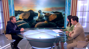 Возрождение исчезнувшего вида. Российские и южнокорейские учёные полностью исследовали генетическую историю японских морских львов.