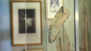 Выставка «Пьер и Сильфиды» в Музее театрального и музыкального искусства