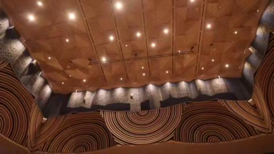 Солисты проекта Петербургского Дома музыки «Музыкальная сборная России» первыми выступили в камерном зале центра «Сириус»