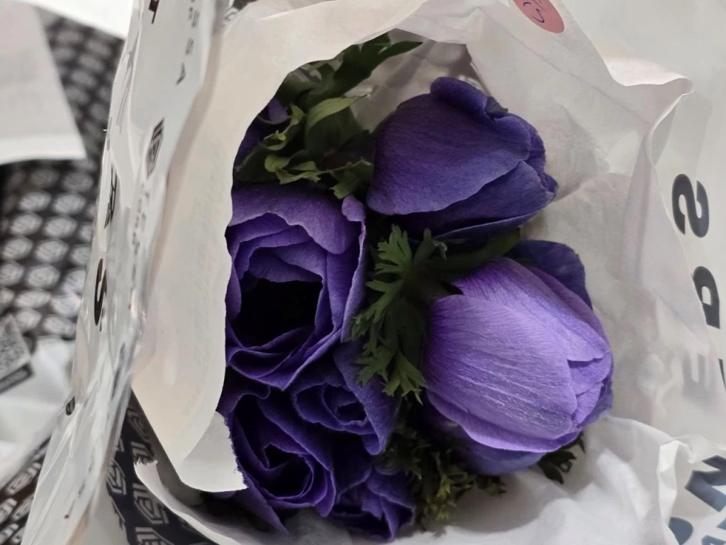 3,4 млн цветов привезли в Петербург и Ленобласть в августе - tvspb.ru