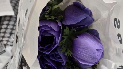 3,4 млн цветов привезли в Петербург и Ленобласть в августе